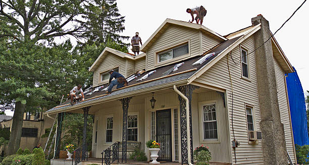 Best Gutter Installation and Roofing  in Cohoe, AK
