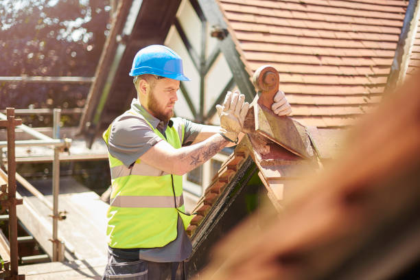 Best Emergency Roof Repair  in Cohoe, AK
