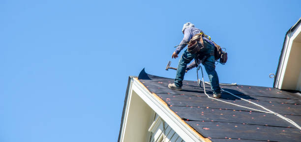 Best Metal Roofing Contractor  in Cohoe, AK